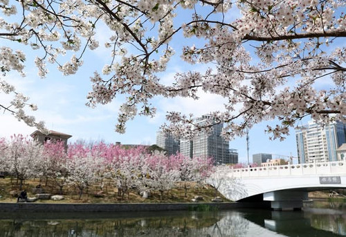 658940866 1372229344931316 7231854097169438478 n.jpg?stp=dst jpg s843x403 tt6& nc cat=100&ccb=1 7& n.jpg