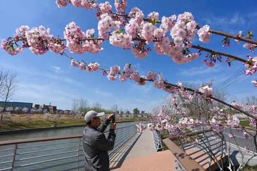 660266560 1372233894930861 7315292046845340785 n.jpg?stp=dst jpg s590x590 tt6& nc cat=107&ccb=1 7& n.jpg