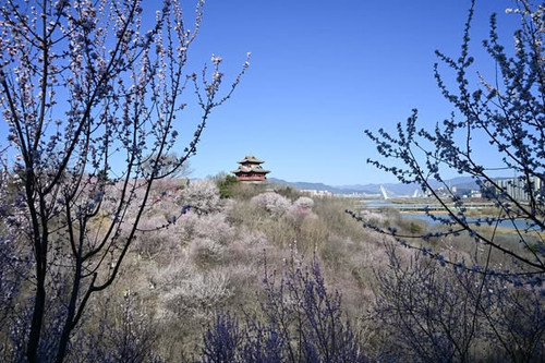 660375186 1372233778264206 6161140581184270839 n.jpg?stp=dst jpg s590x590 tt6& nc cat=110&ccb=1 7& n.jpg