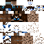 pmcskin3d steve.png