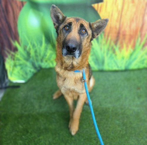 HEGn GJaoAAcwBM?format=jpg.jpg