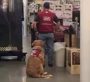 WgXjoe5 7hRYLT8J.jpg