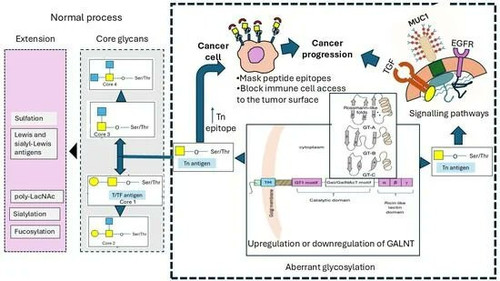 HEZmGvFaIAAy sj?format=jpg.jpg