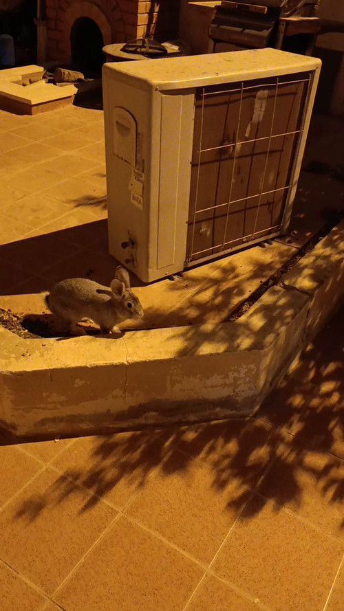 66aRzep 2wiUTPZJ.jpg