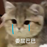 mmexport1775212778488