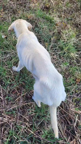 aIkvyX AydYnlSs4.jpg