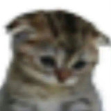 mmexport1775212778963