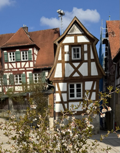 HE6W1 YXsAAa6BY?format=jpg.jpg