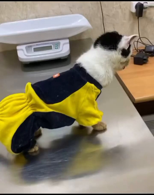 U7gJu2i5 MNzjfU1.jpg