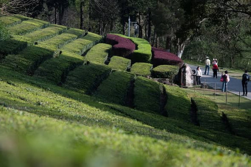 662569285 1372234211597496 4815793574462250911 n.jpg?stp=dst jpg s590x590 tt6& nc cat=110&ccb=1 7& n.jpg