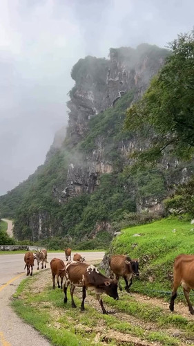 Ee NRdpThX7M aNm.jpg