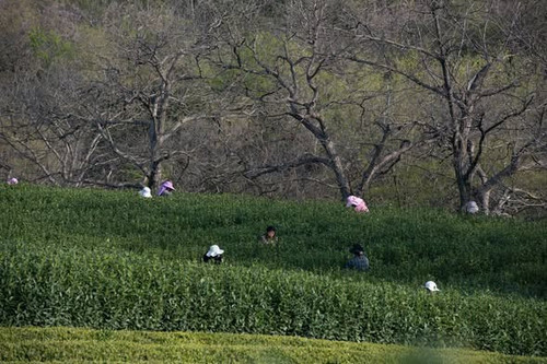 660034249 1372234561597461 5513409525427275675 n.jpg?stp=dst jpg s590x590 tt6& nc cat=110&ccb=1 7& n.jpg