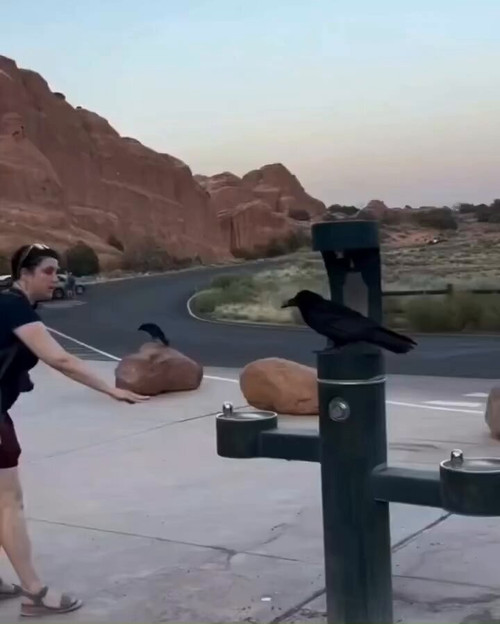 QZXD3Lu ZkZlEVui.jpg