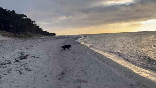 ZMVfaA6IglQf2n W.jpg