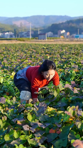 qsVZQQTj2db vF5e.jpg