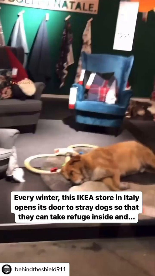 JSjXMKvNQq mUNoE.jpg