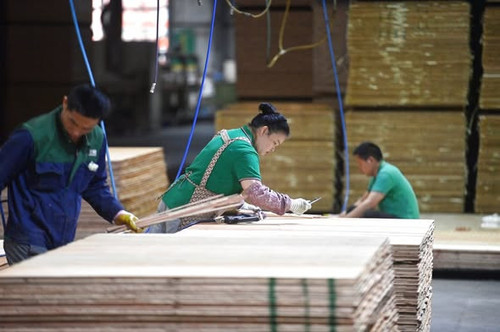 661197870 1372233944930856 4611121607421596060 n.jpg?stp=dst jpg s590x590 tt6& nc cat=100&ccb=1 7& n.jpg