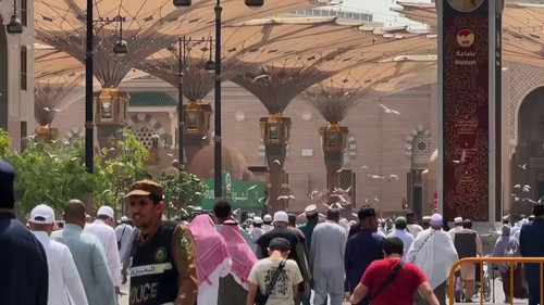 IUXua wzXLjTD qJ.jpg