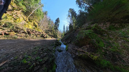 4AAdC7ZZO 06SVyZ.jpg