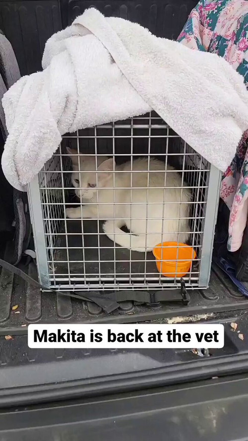 LE AhgC88yySu8OE.jpg