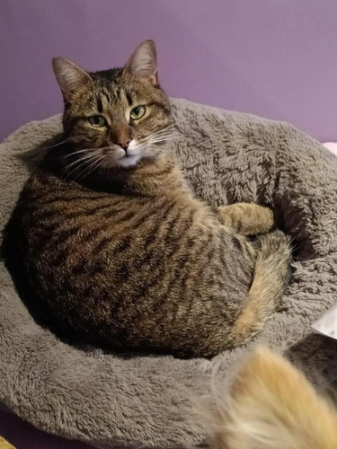 HE9 x4QXUAAsESq?format=jpg.jpg