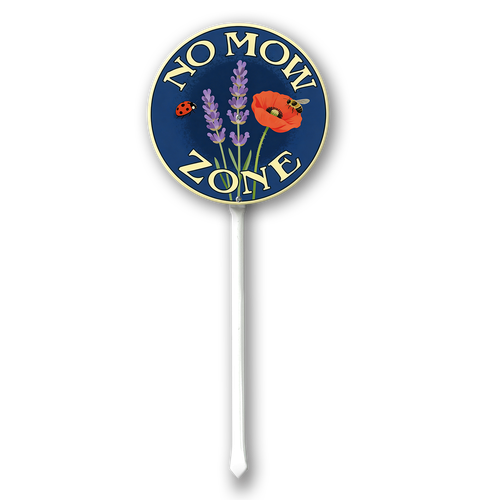 ZZ10.png
