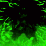 ezgif 3a41483ca4b228f5.gif