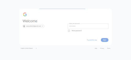 2026 04 02T23 26 45 127Z GOOGLE password entered.png
