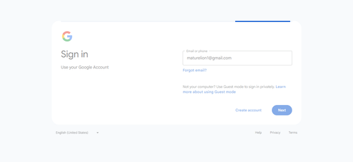 2026 04 02T23 26 32 335Z GOOGLE email entered unknown.png