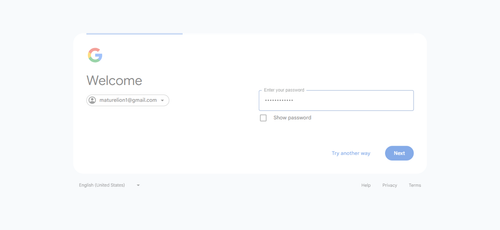 2026 04 02T23 27 25 955Z GOOGLE password entered.png