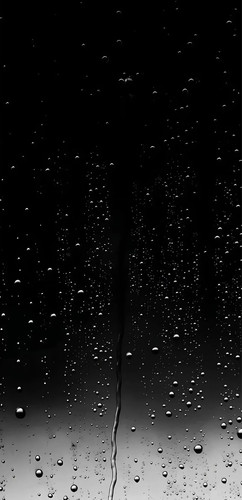 Image 1763726686973.jpg