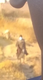 temp.png