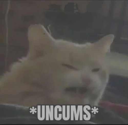 1775200672442.jpg