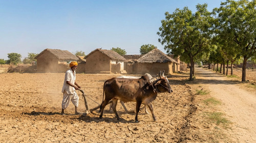 Image 202602151720.jpg