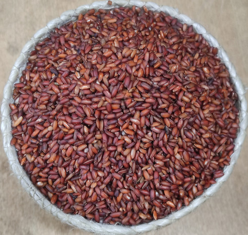 aushfullfiber Photoroom (1).jpg