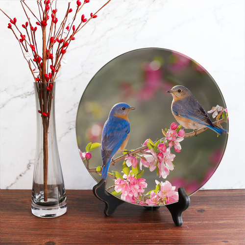 22 PZ26N 0403 25.png