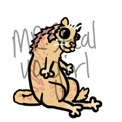 1000018838.png