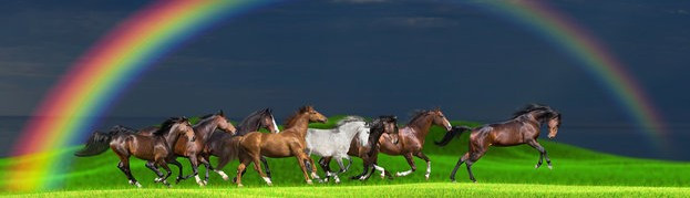 Horuss Zahhak's banner