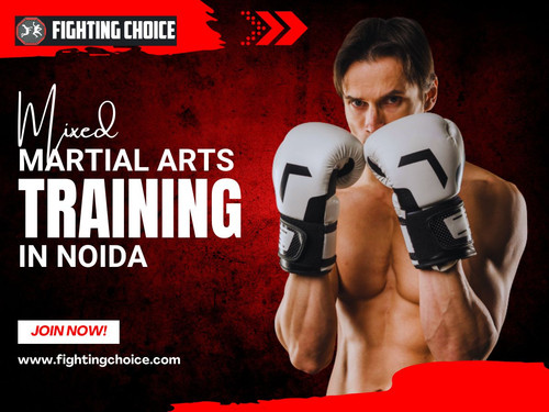 Mixed Martial Arts Training in Noida.jpg