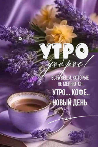 23d10831d8afae96e3deebc01e2696b0.jpg