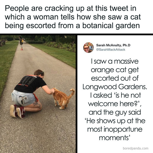 cat escorted botanical garden.jpg