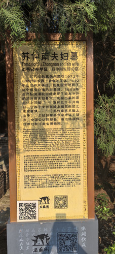 IMG 20250718 171528.jpg