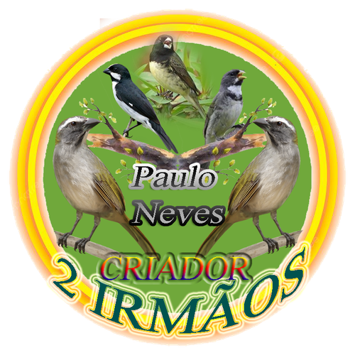 logo.png