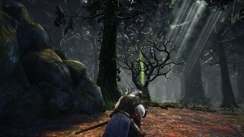 dark souls 3 31938837898 o.png