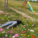 temp.png
