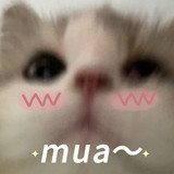 mmexport1774356306968