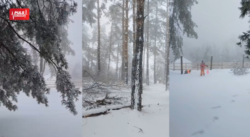 COVER ZA VESTI (85).jpg