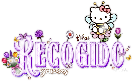 HKRegSpring AI DG Lolis Kikai.png