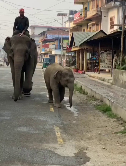 F3TWeV5F2rg3V4 V.jpg