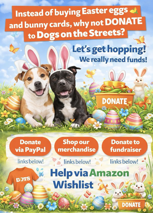 HE SZl5WIAAfIuW?format=jpg.jpg